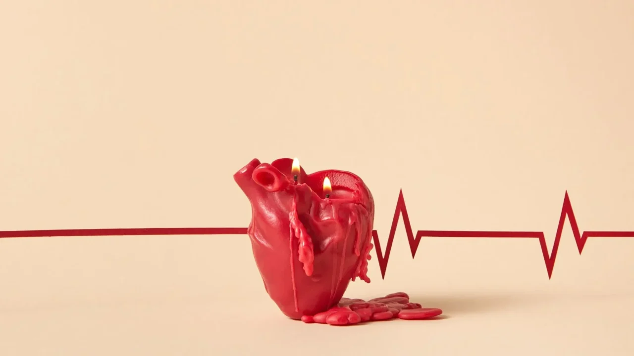 Apa Itu Jantung Koroner? Penyebab, Gejala, & Pencegahan 1 Human Heart Arteries