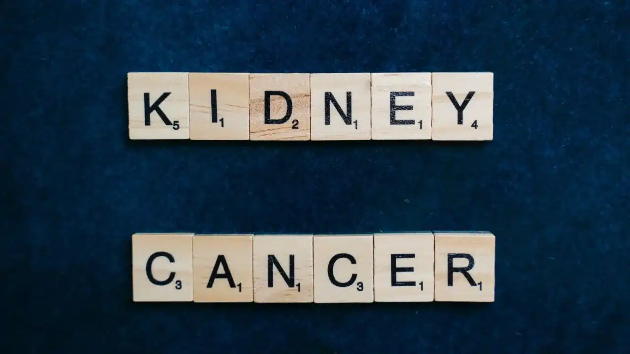 Kidney Stone Human Kidney