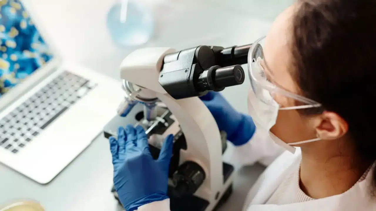 Lung Cancer Types Microscope Slide