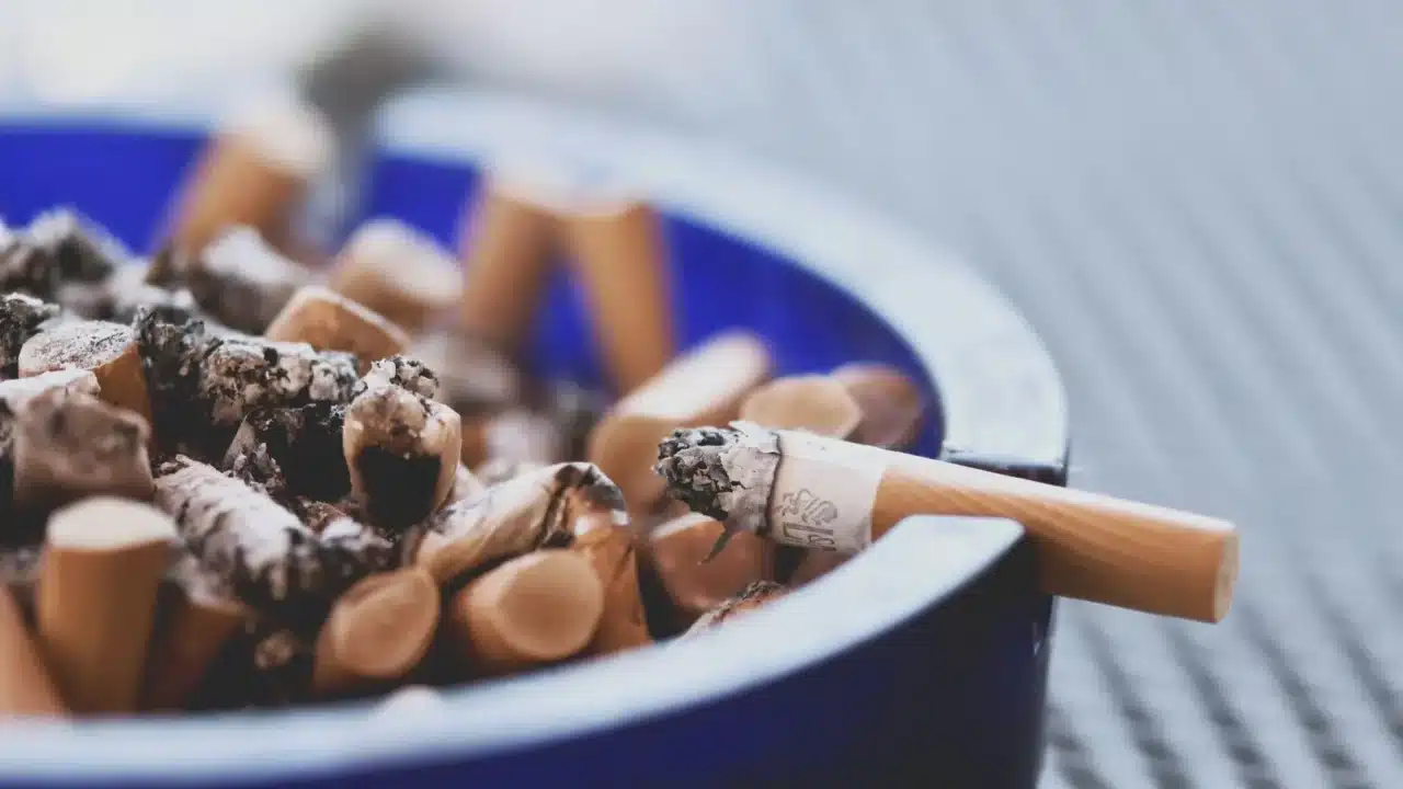 Pencegahan PPOK: Langkah Penting Menjaga Paru-Paru Sehat 1 Lung Disease Smoking Risk