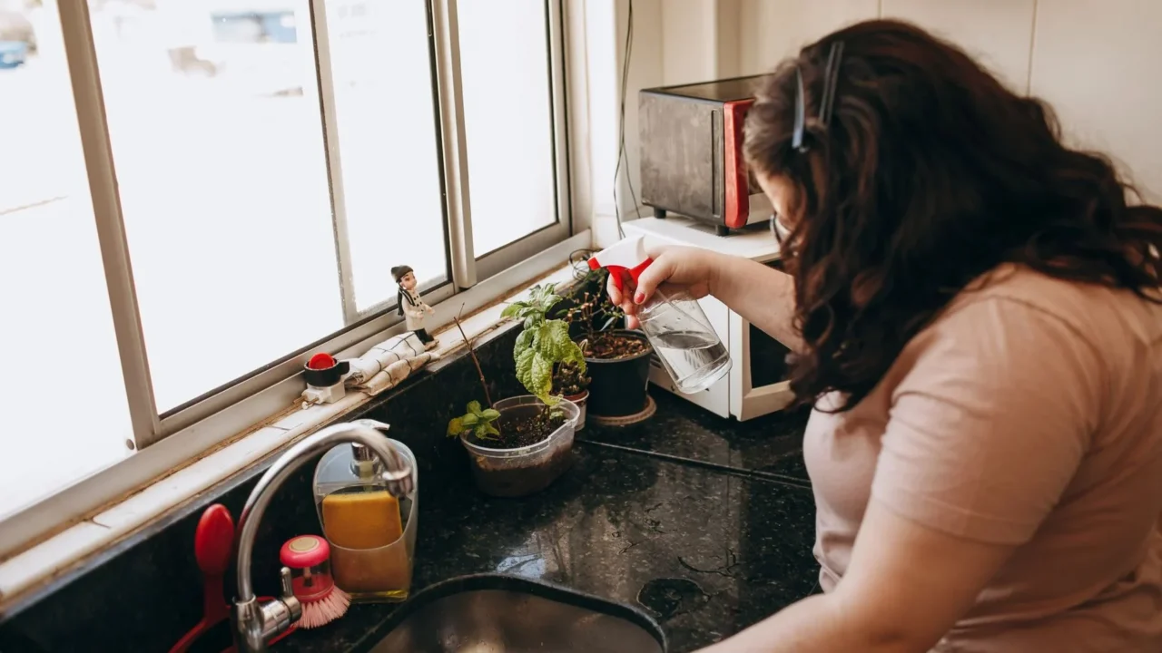 Cara Menyembuhkan Sinusitis Secara Alami: Panduan Lengkap 4 Neti Pot Saline Solution Nasal Rinse