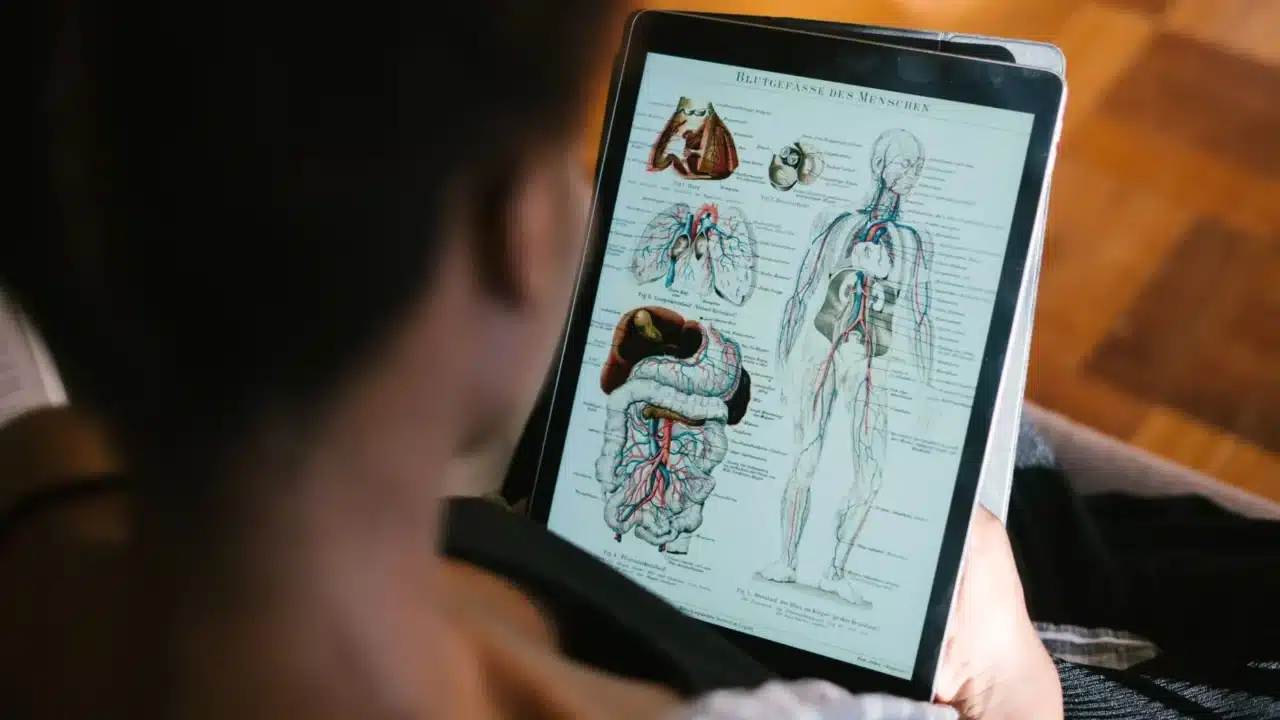 Pencegahan Kista Ovarium: Panduan Lengkap untuk Wanita 1 Ovary Female Anatomy Woman Health