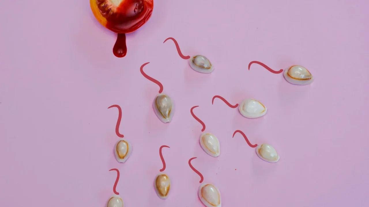 Semen Analysis Sperm Count