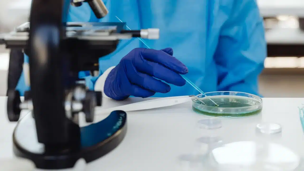 Bacteria Microscope