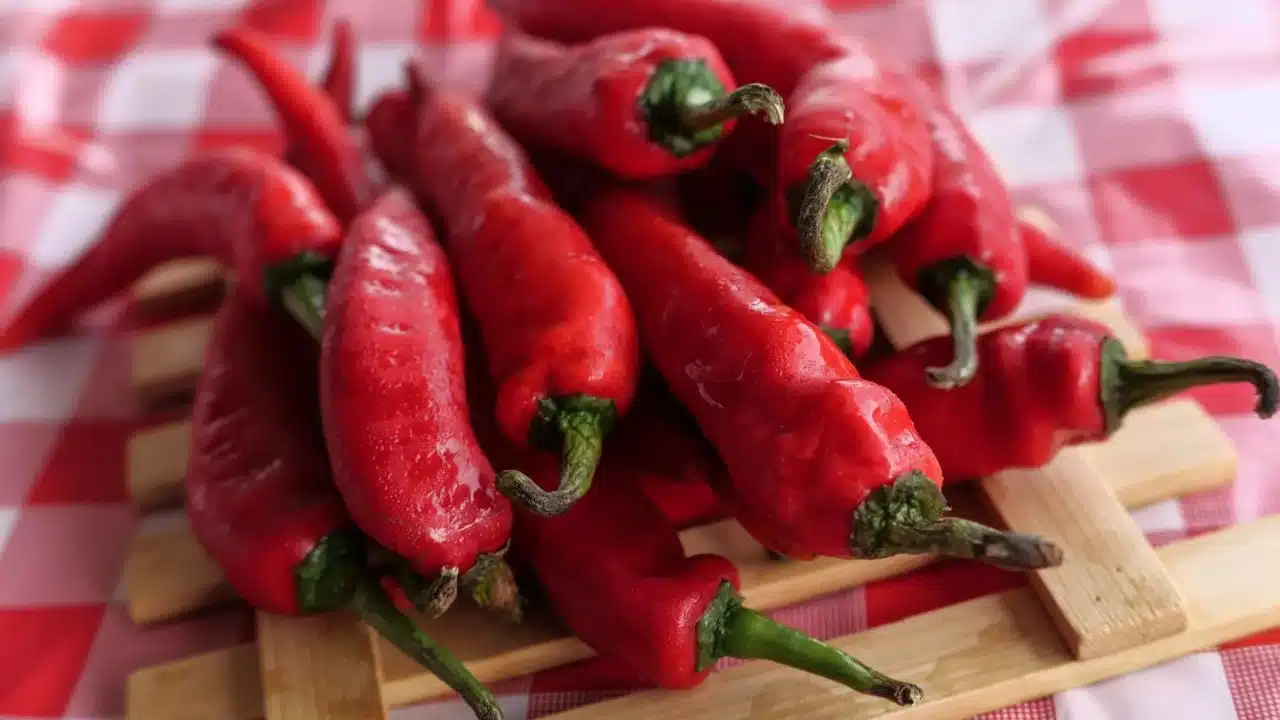 chili pepper spicy food