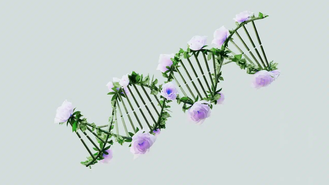 Penyebab Glaukoma: Faktor Risiko & Cara Mencegahnya 3 DNA Family Genes