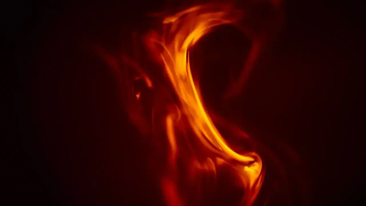 Esophagus Heartburn