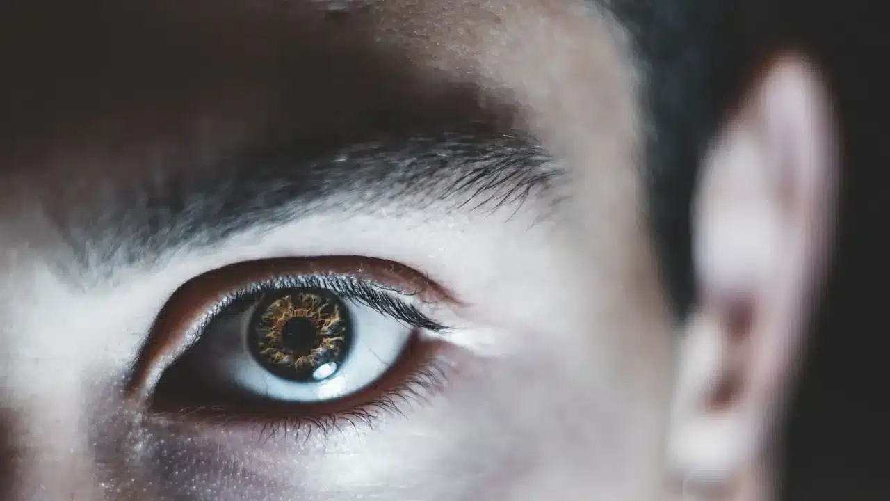 Eye Anatomy Eye Lens