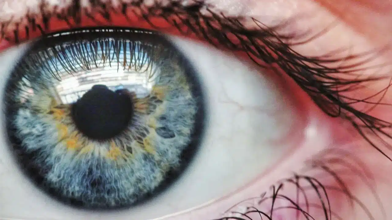 Eye Anatomy Vision Chart