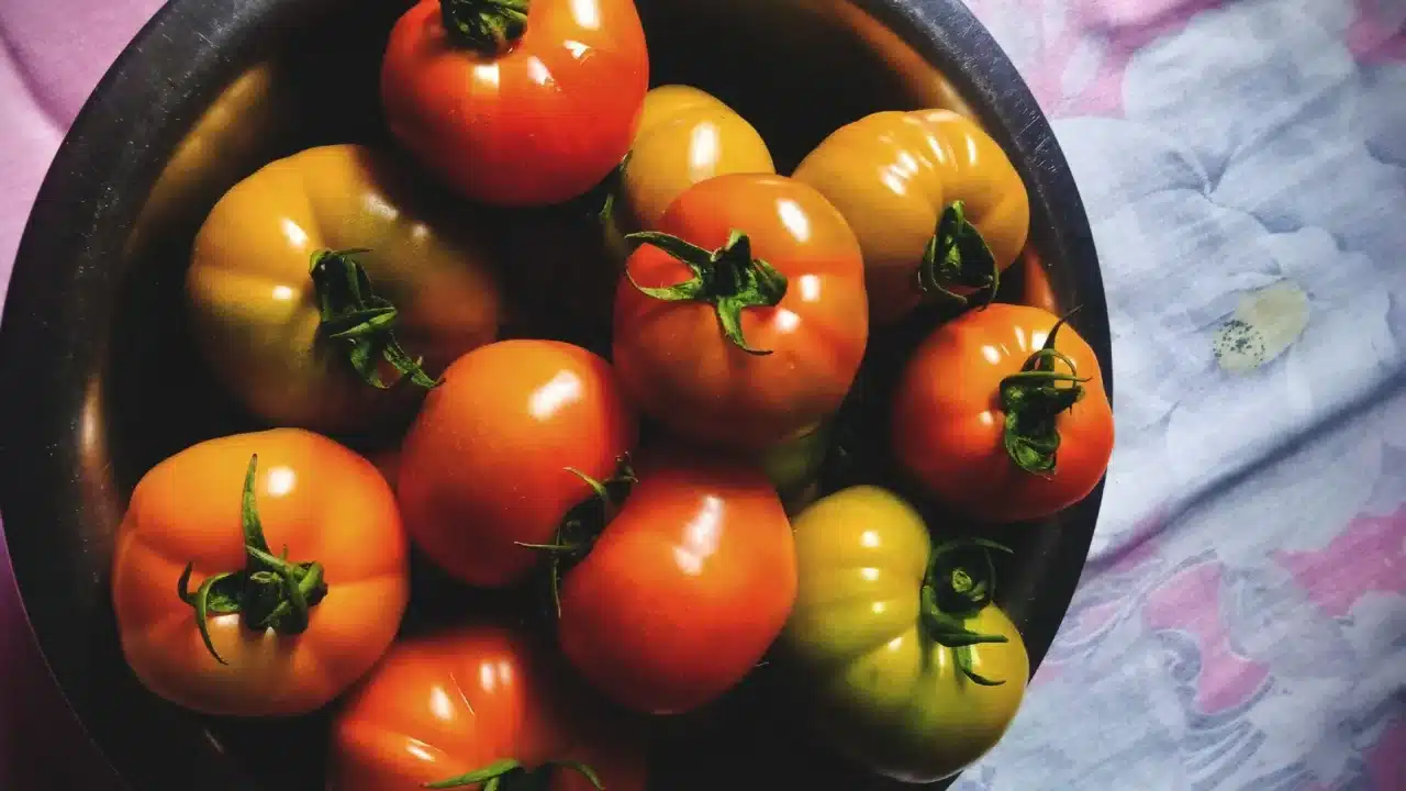 Makanan untuk Penderita Obesitas: Panduan Diet Sehat 2 fresh vegetables fruits bowl