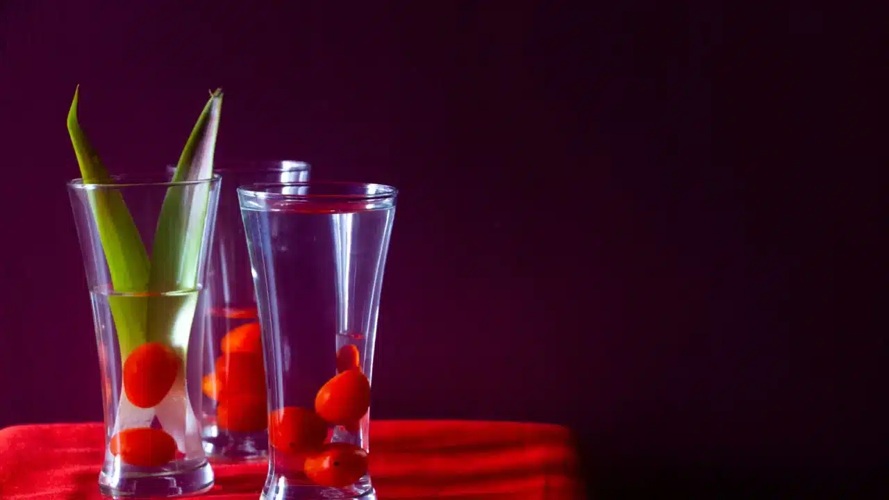Kenali Gejala Ambeien Sejak Dini dan Penanganannya 4 fresh vegetables water glass