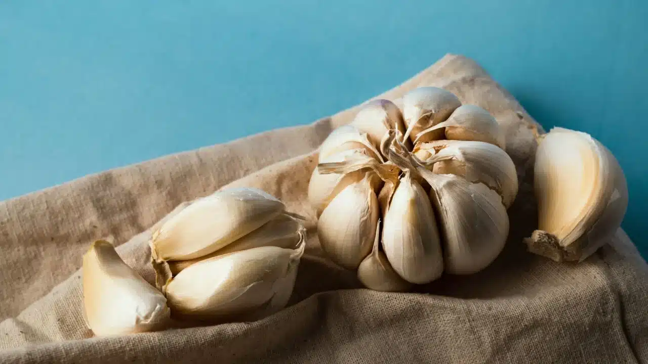 garlic clove fresh garlic