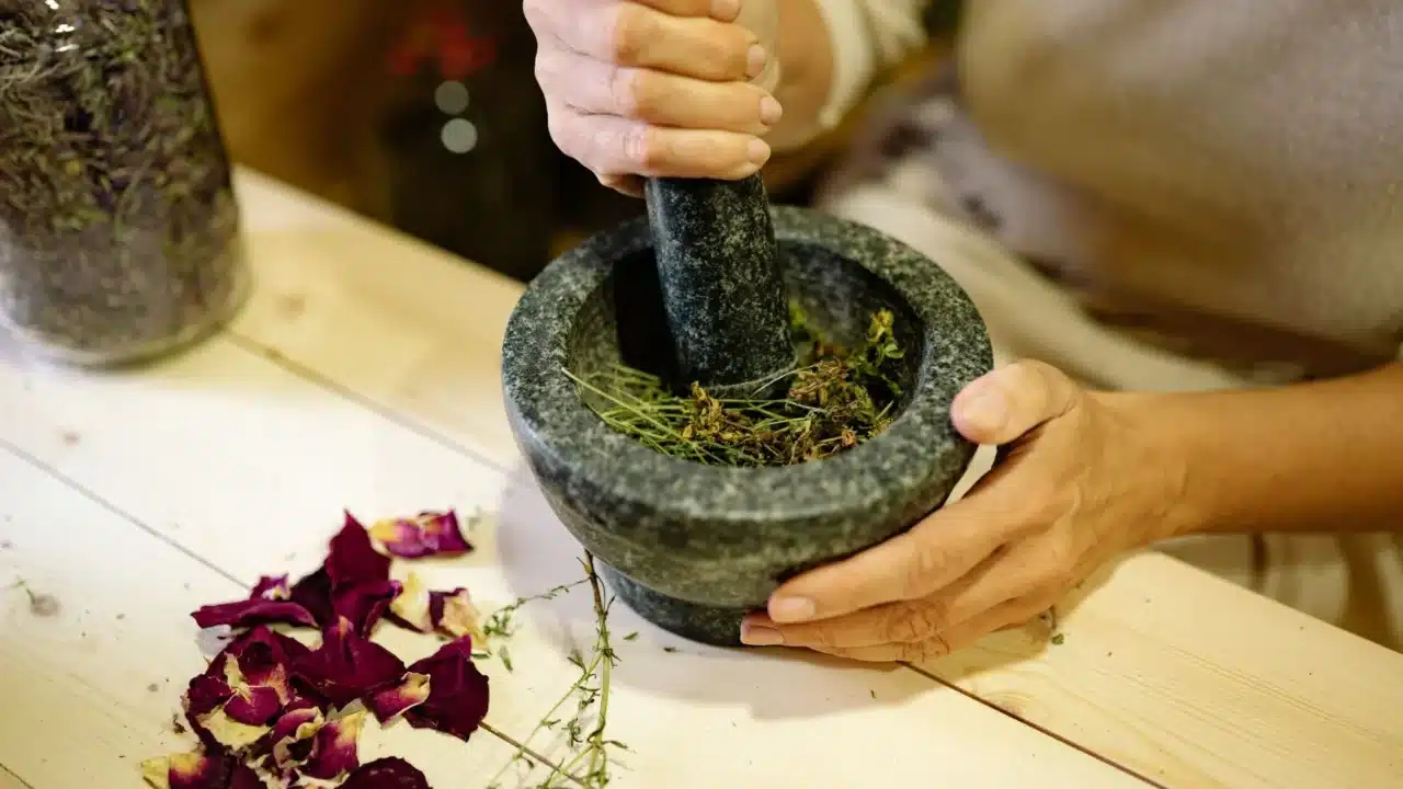 Herbal Plants Natural Medicine