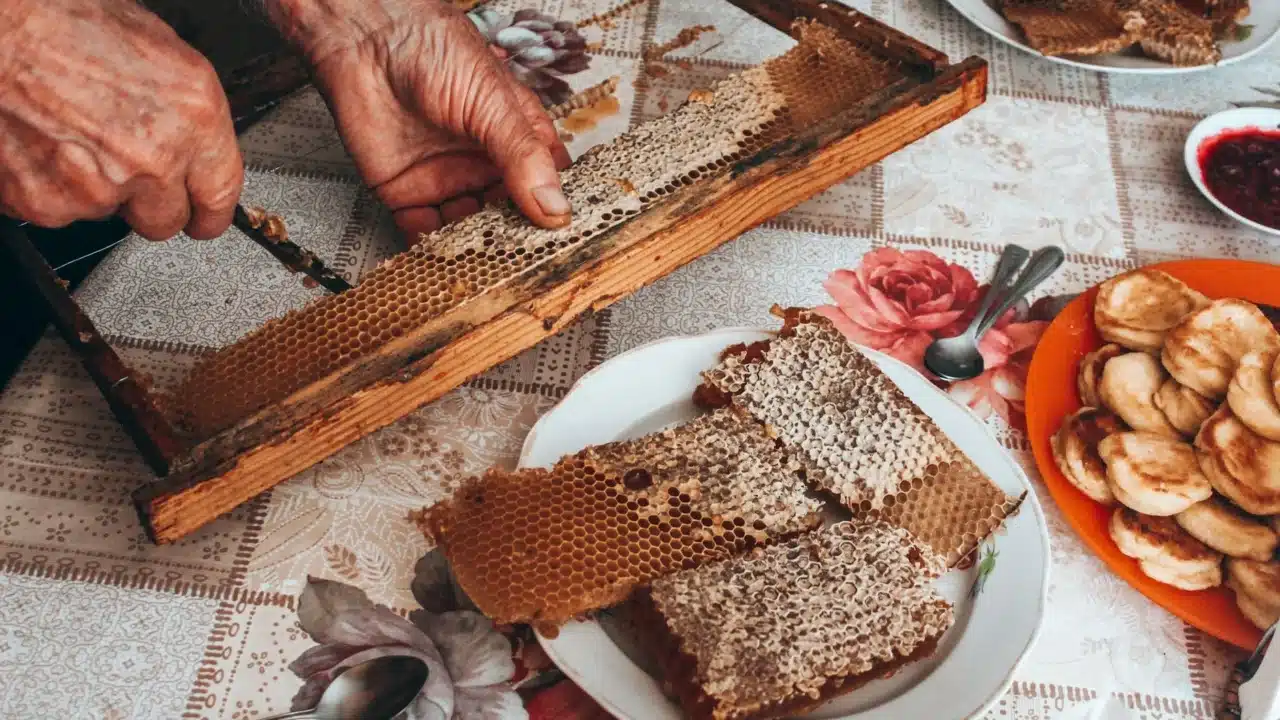 Cara Minum Madu yang Benar untuk Kesehatan Maksimal 1 honey spoon breakfast table