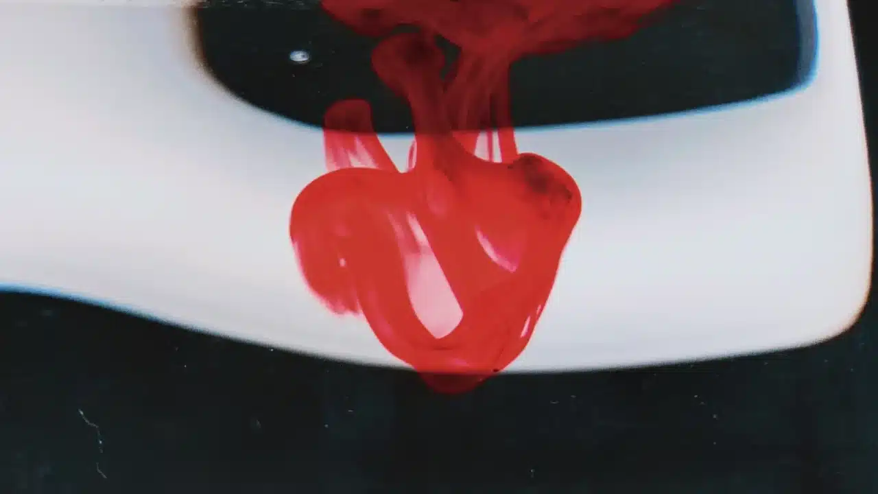human heart blood vessels