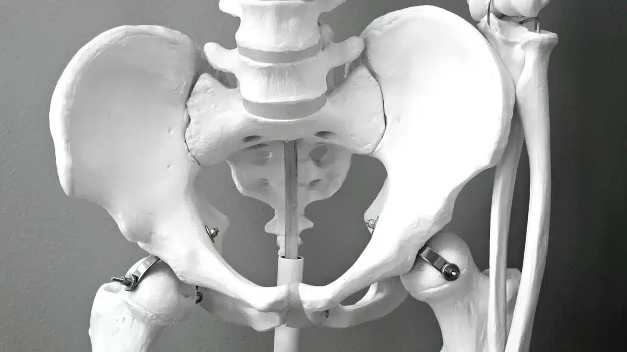 Penyebab Nyeri Sendi: Panduan Lengkap & Cara Mengatasinya 1 Joint Pain Human Skeleton