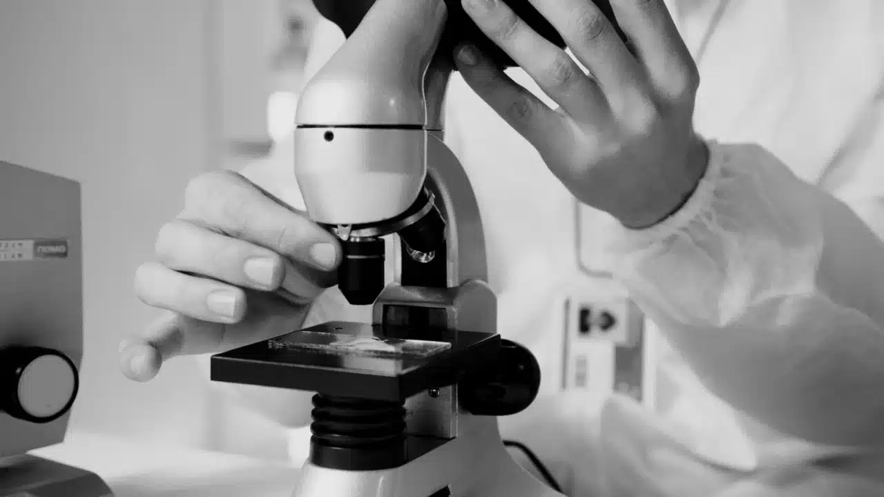 laboratory microscope