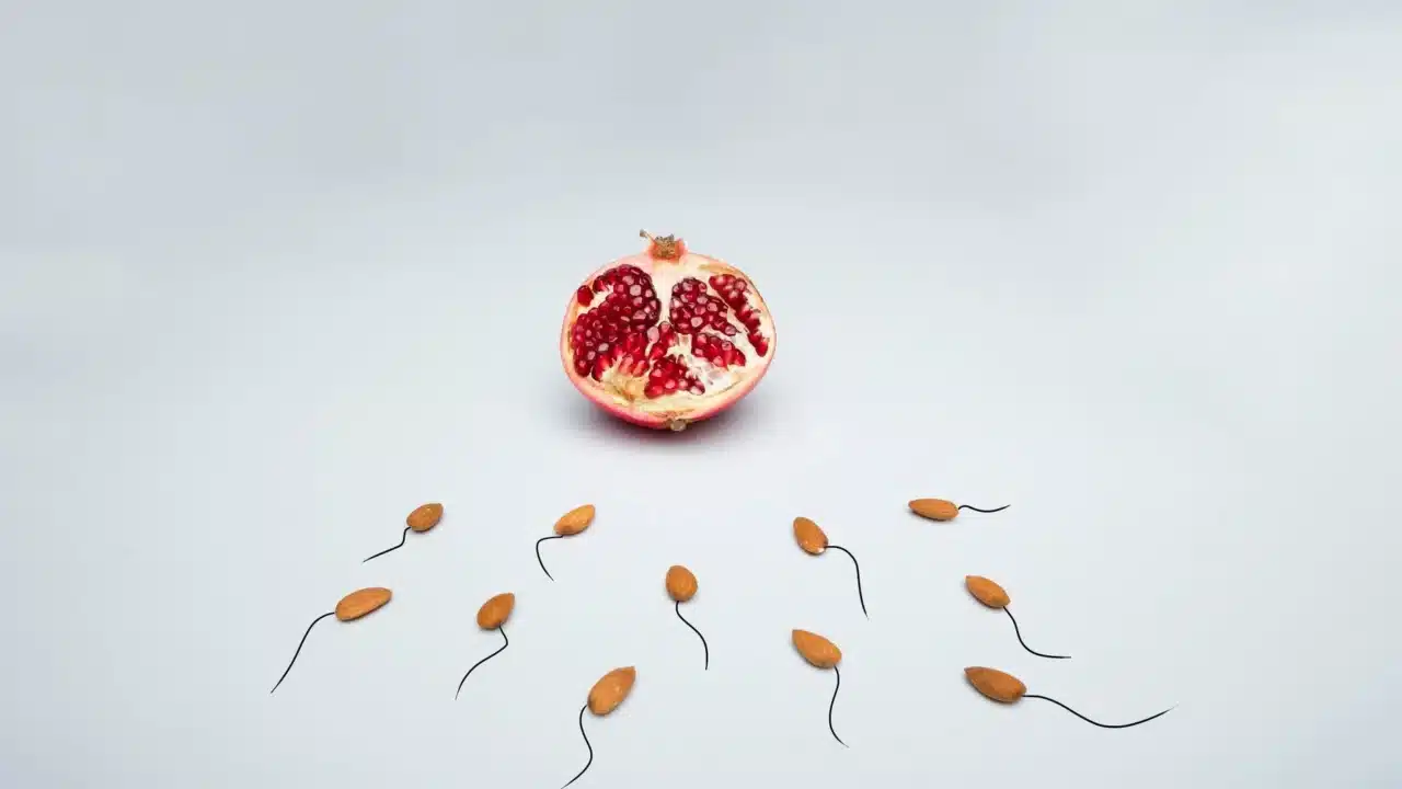 Male Fertility Healthy Sperm