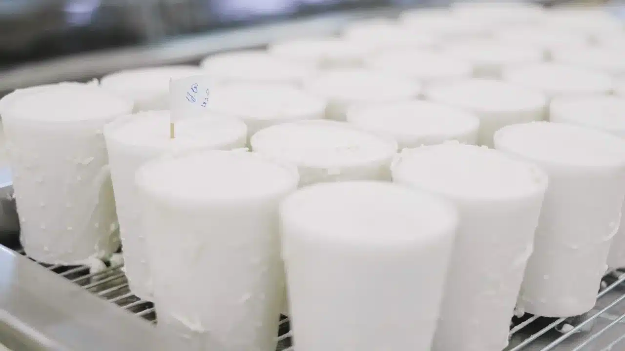 Makanan Pantangan Sinusitis yang Wajib Dihindari 2 milk glass cheese
