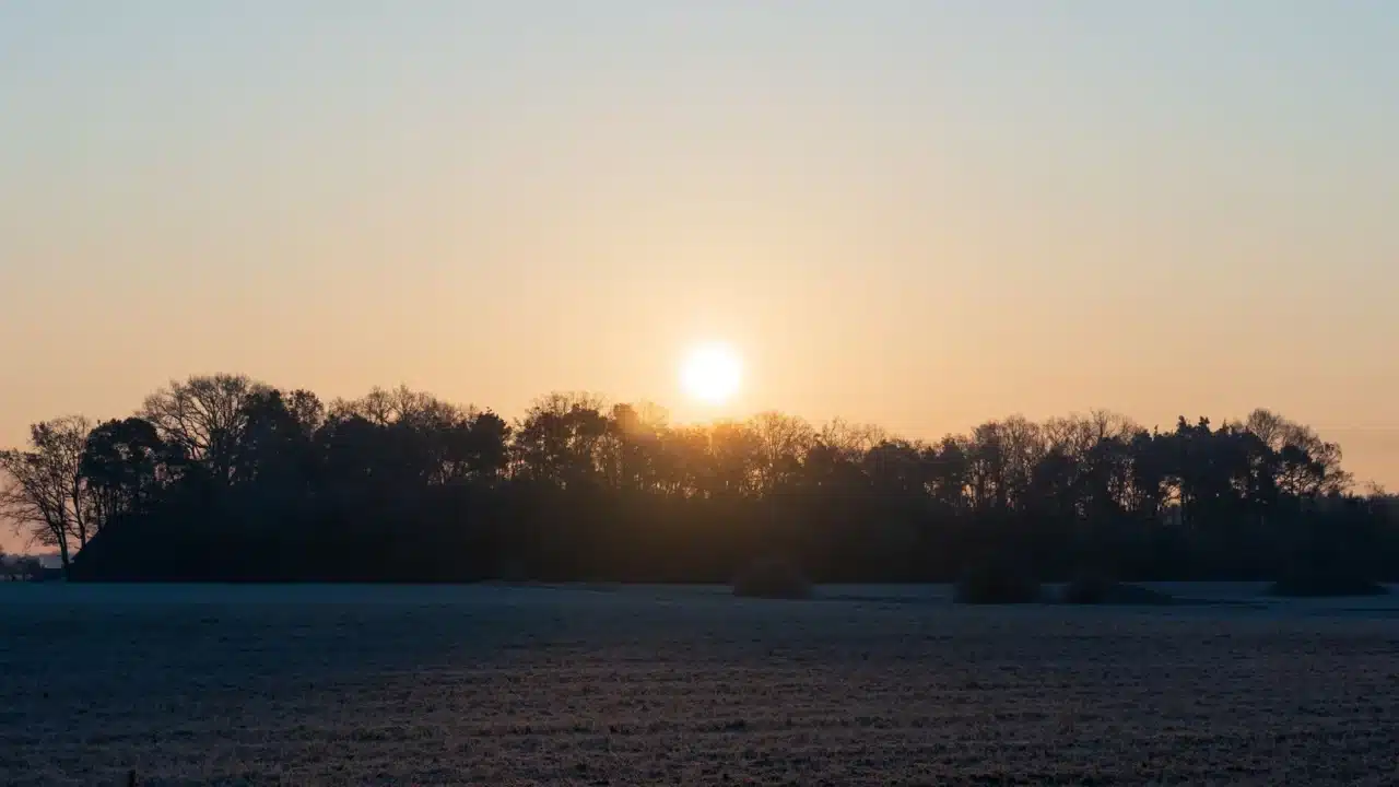 Tips Menjaga Tulang Kuat dan Sehat Sepanjang Usia 4 morning sun sunlight