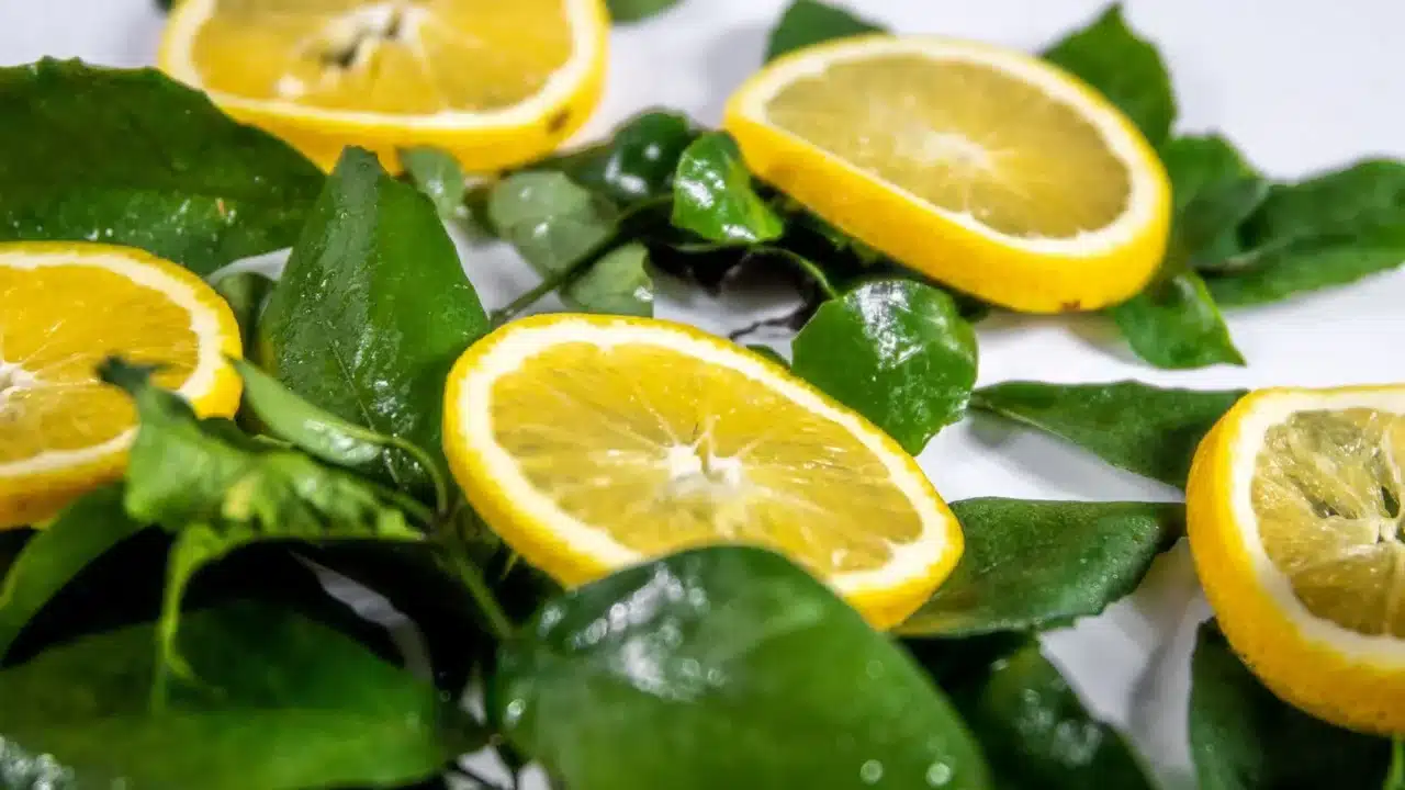 Natural Ingredients Healthy Skin
