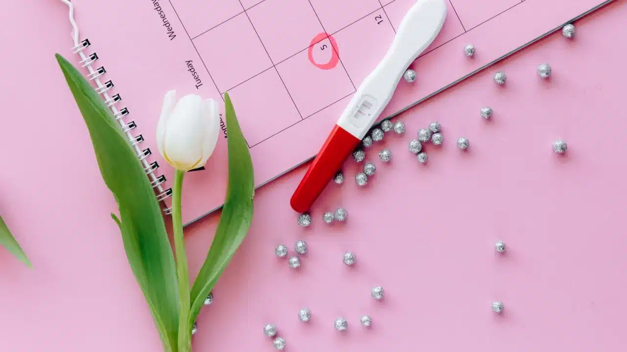 Panduan Masa Subur Program Hamil: Cara Cepat Hamil 4 ovulation test