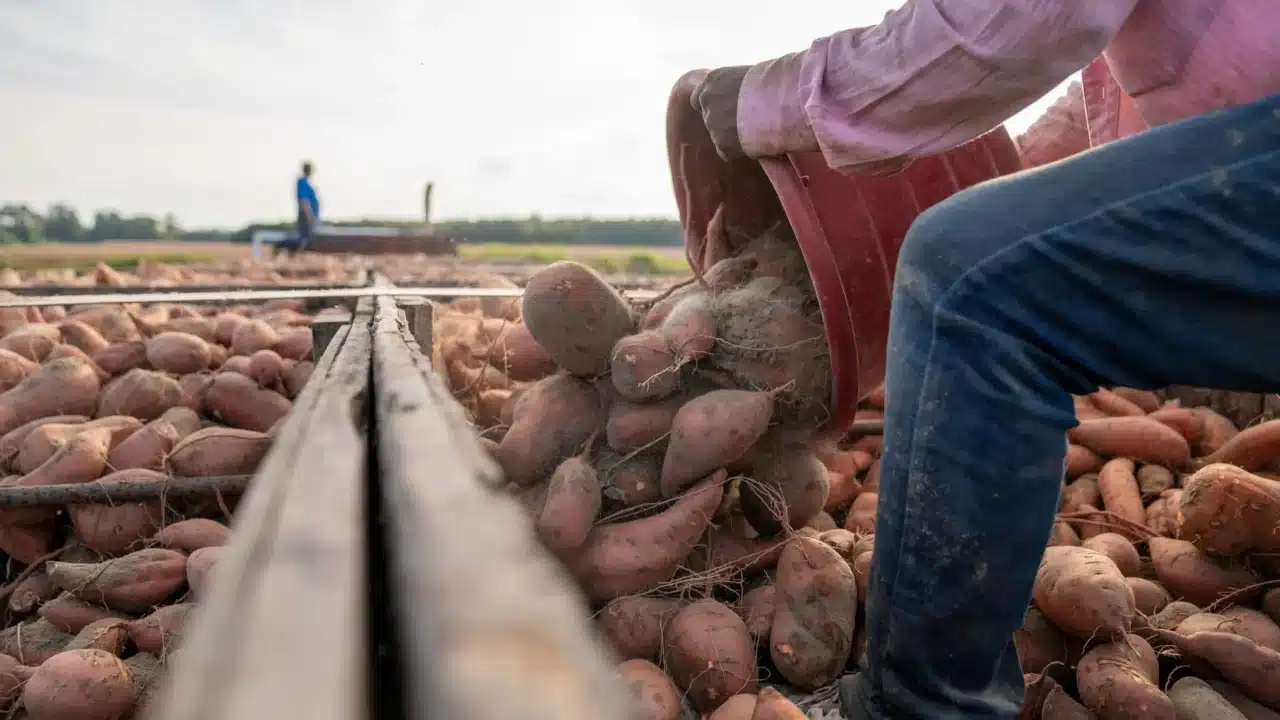 Kolesterol Naik Karena Apa? Ini Penyebab dan Solusinya 2 sedentary worker couch potato