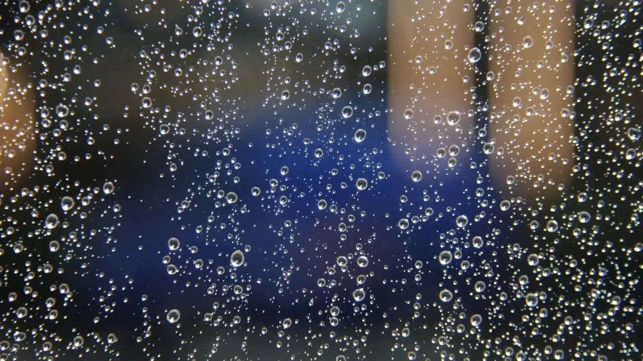 Shower Water Drops