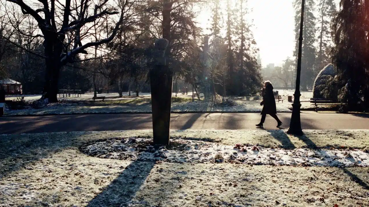 Tips Menjaga Tulang Kuat dan Sehat Sepanjang Usia 3 sunny morning walking person