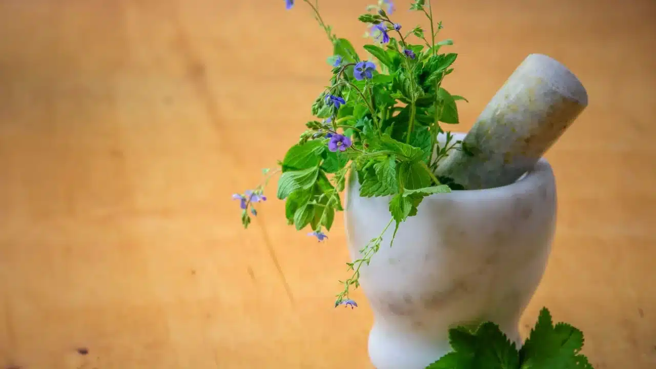 Obat Herbal Batu Empedu: Panduan Lengkap & Efektif 4 Traditional Medicine Mortar Pestle