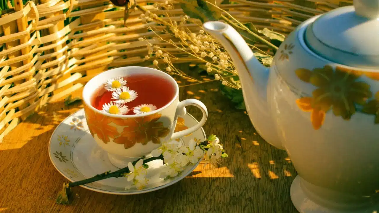 Cara Mengecilkan Ambeien Secara Alami dan Medis 3 warm bath herbal tea