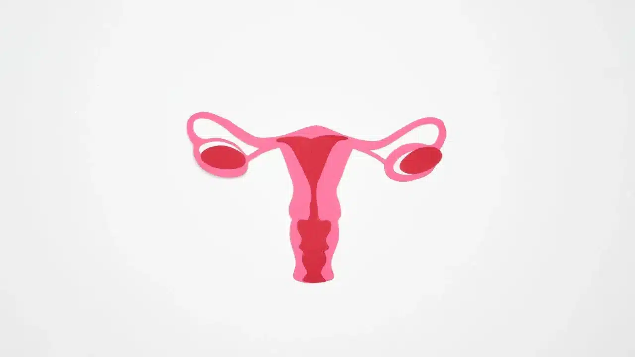Solusi Sulit Hamil: Panduan Lengkap untuk Pasangan 2 Woman Uterus Ovaries