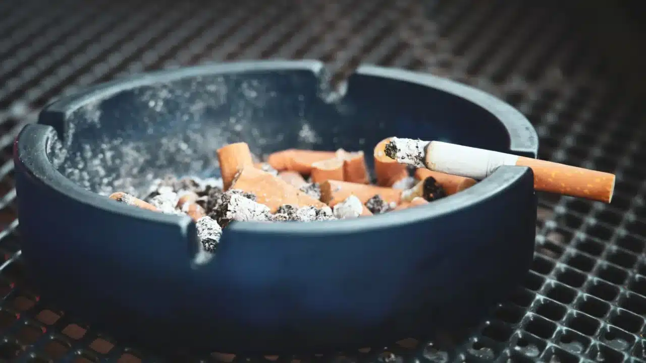 cigarette smoke healthy food