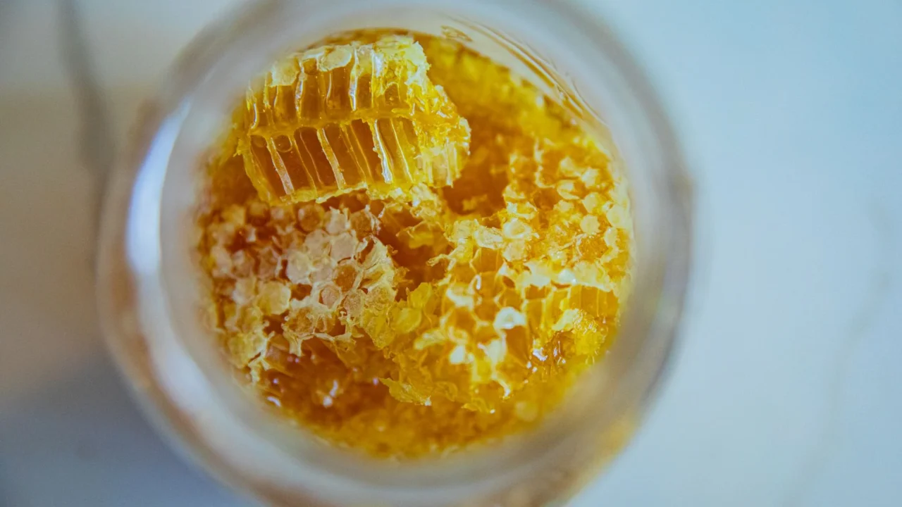 Manfaat Madu Propolis untuk Kesehatan dan Cara Pakainya 1 honey jar propolis