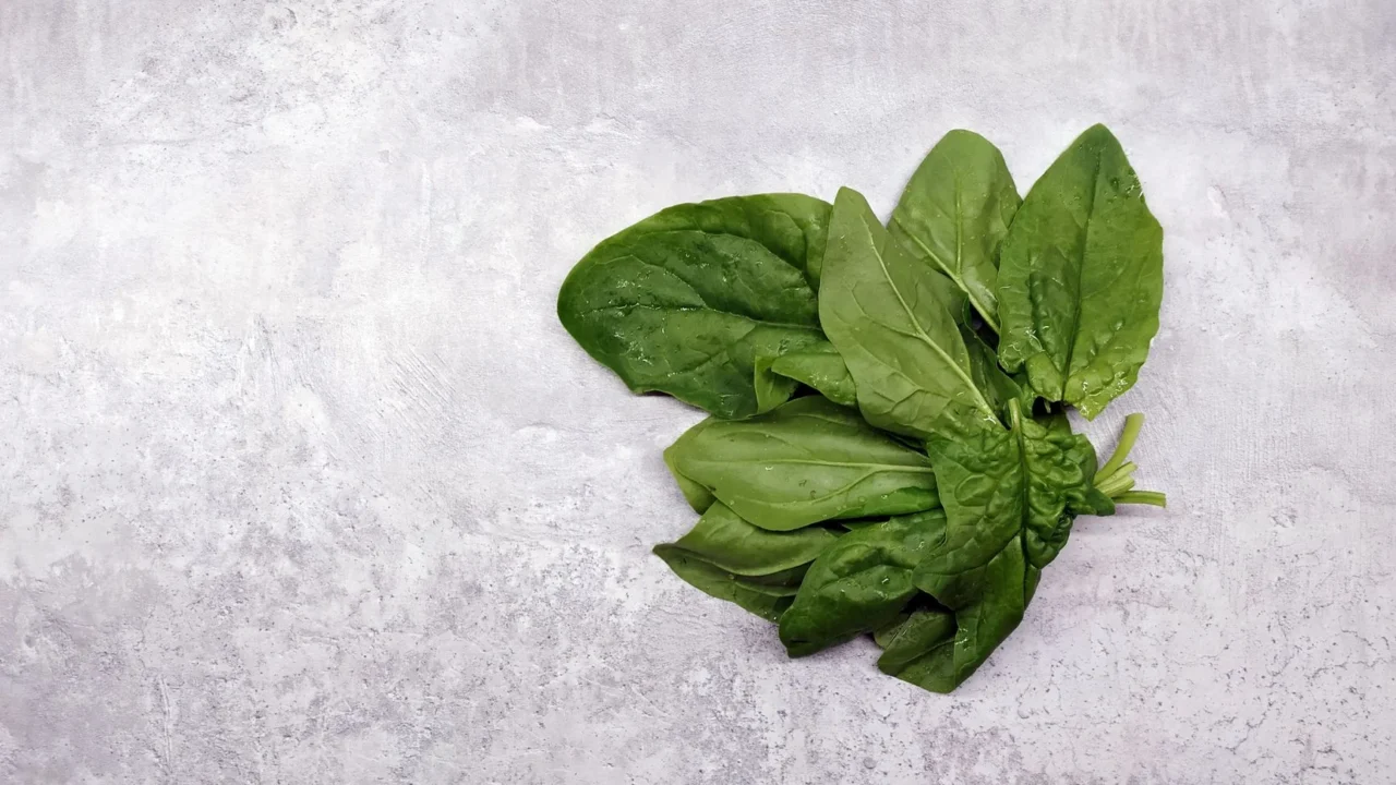 spinach leaves dark chocolate